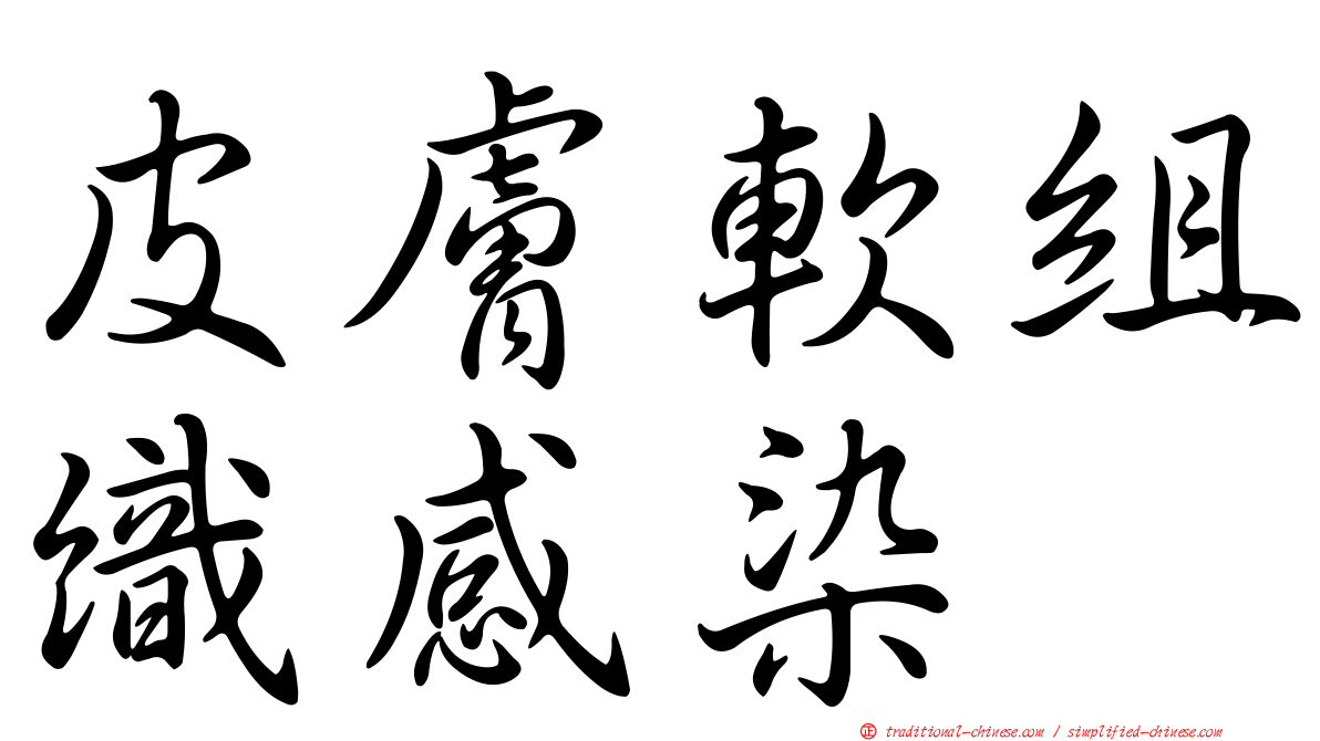 皮膚軟組織感染