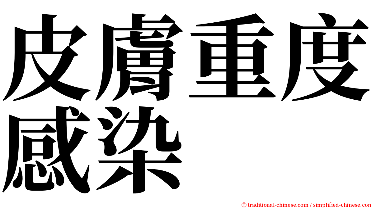 皮膚重度感染 serif font