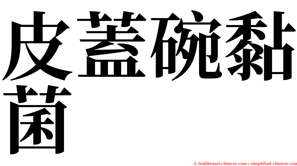 皮蓋碗黏菌 serif font