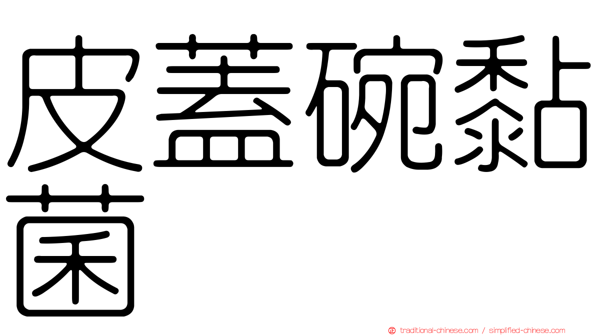 皮蓋碗黏菌