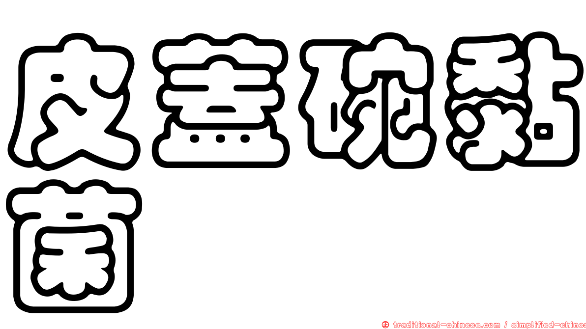 皮蓋碗黏菌
