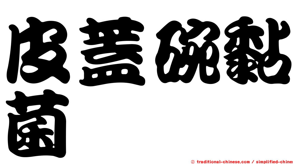 皮蓋碗黏菌