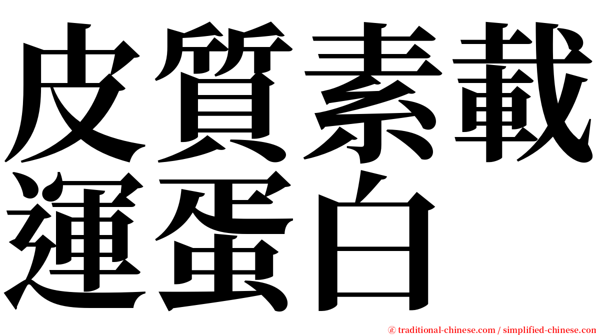 皮質素載運蛋白 serif font