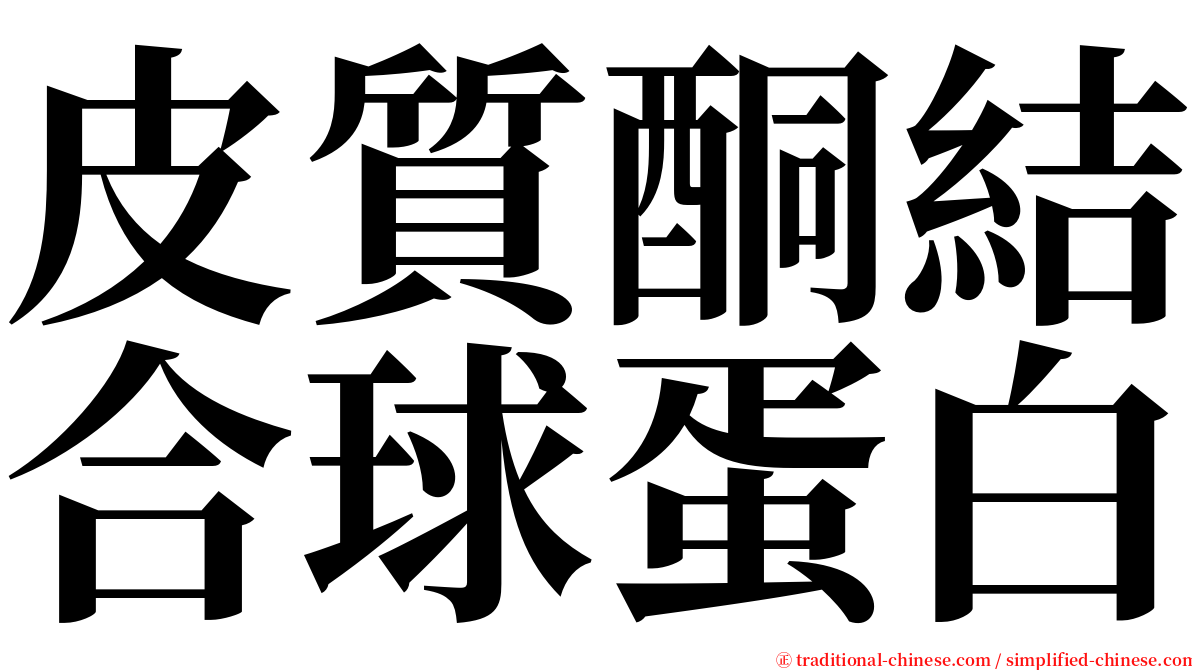 皮質酮結合球蛋白 serif font