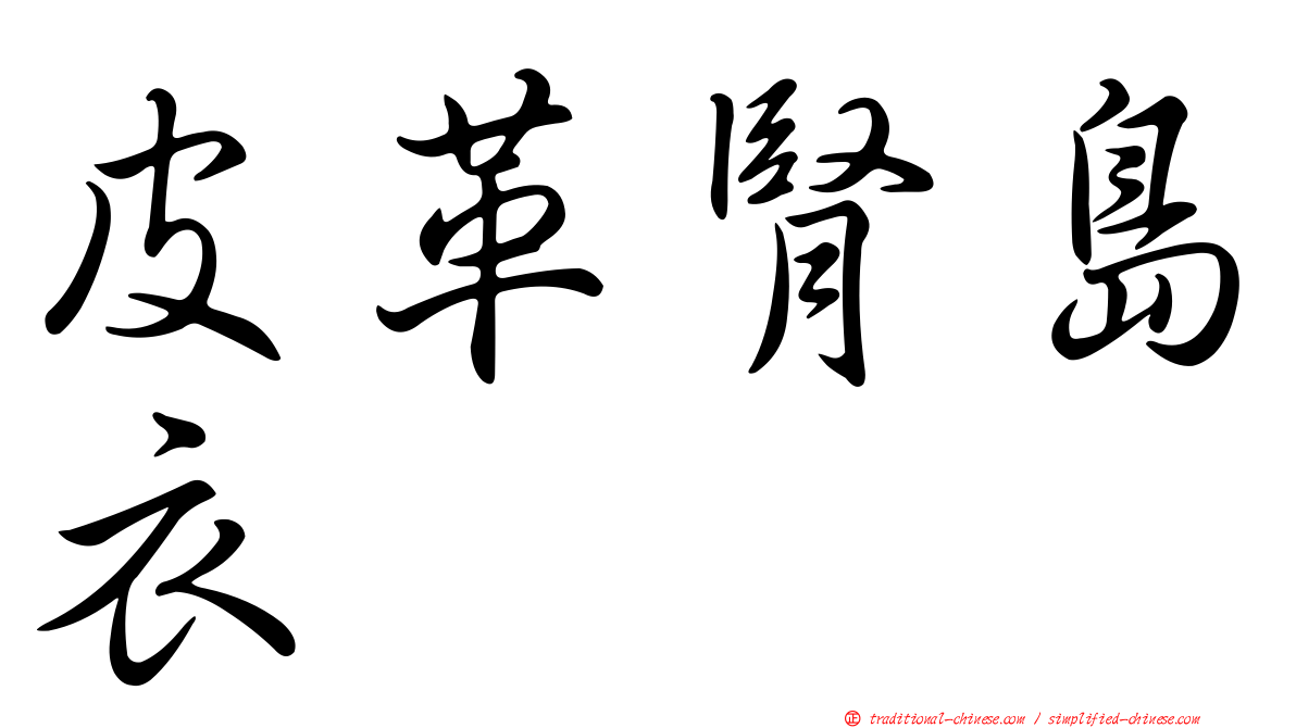 皮革腎島衣