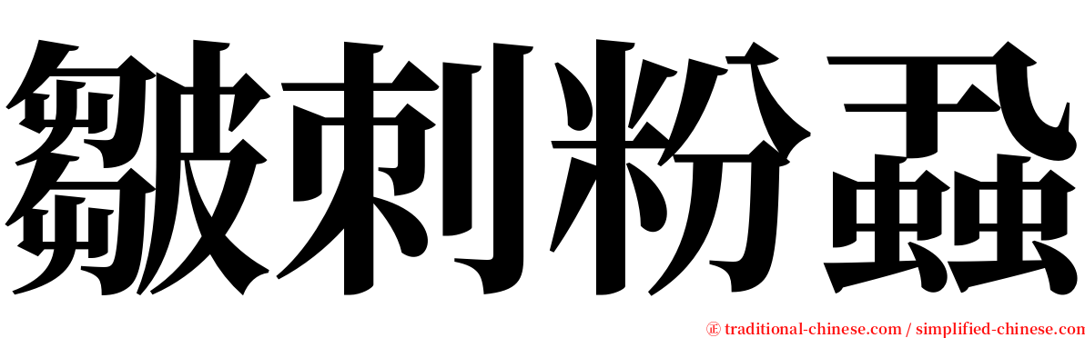 皺刺粉蝨 serif font