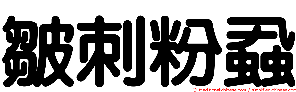 皺刺粉蝨