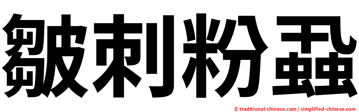 皺刺粉蝨