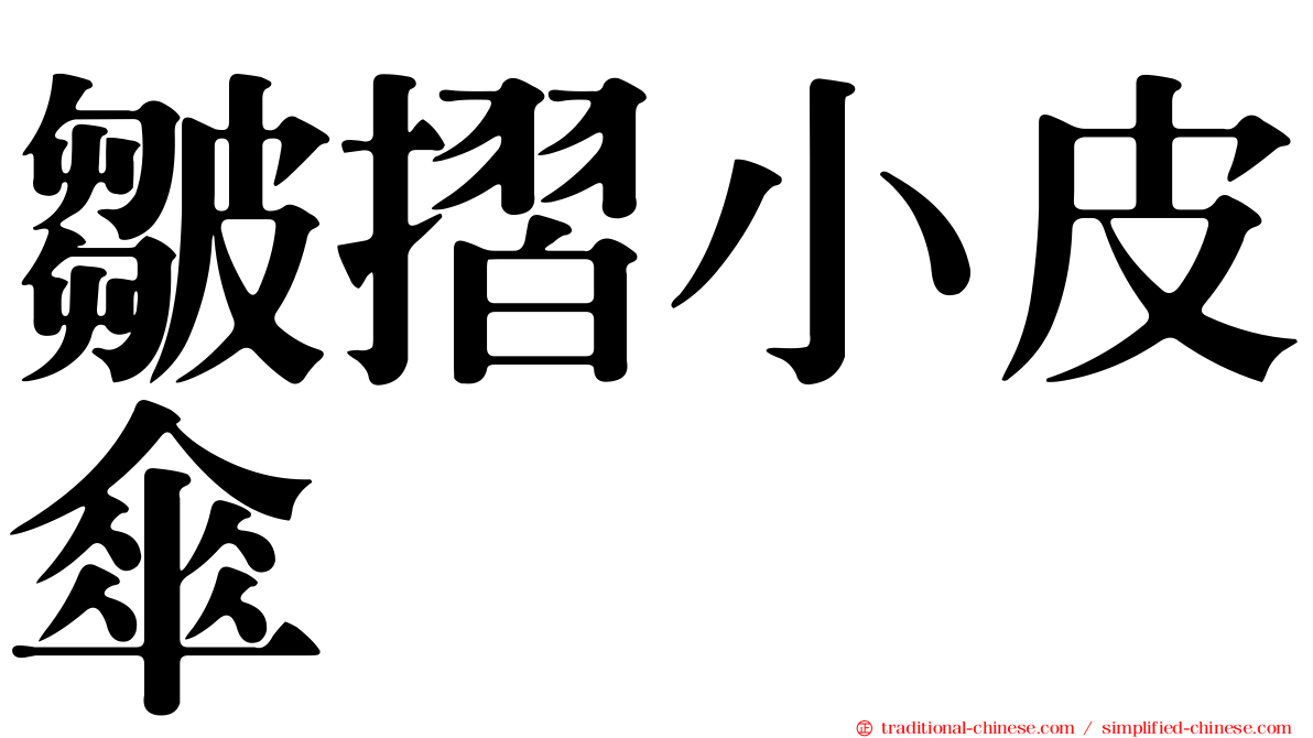 皺摺小皮傘