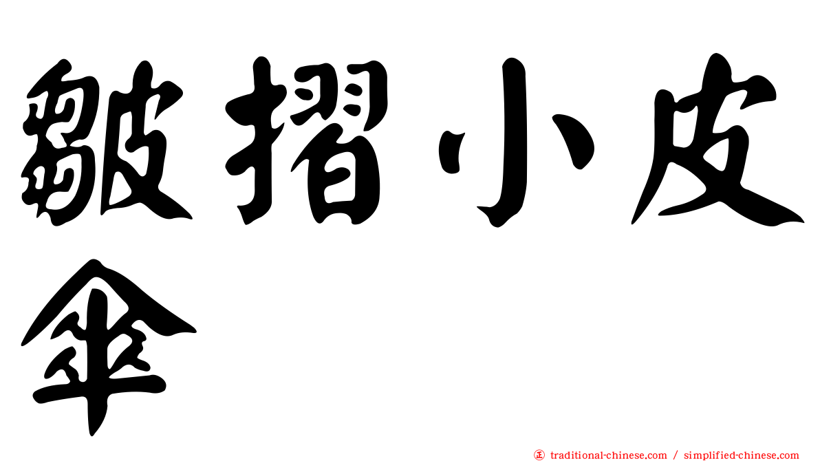 皺摺小皮傘