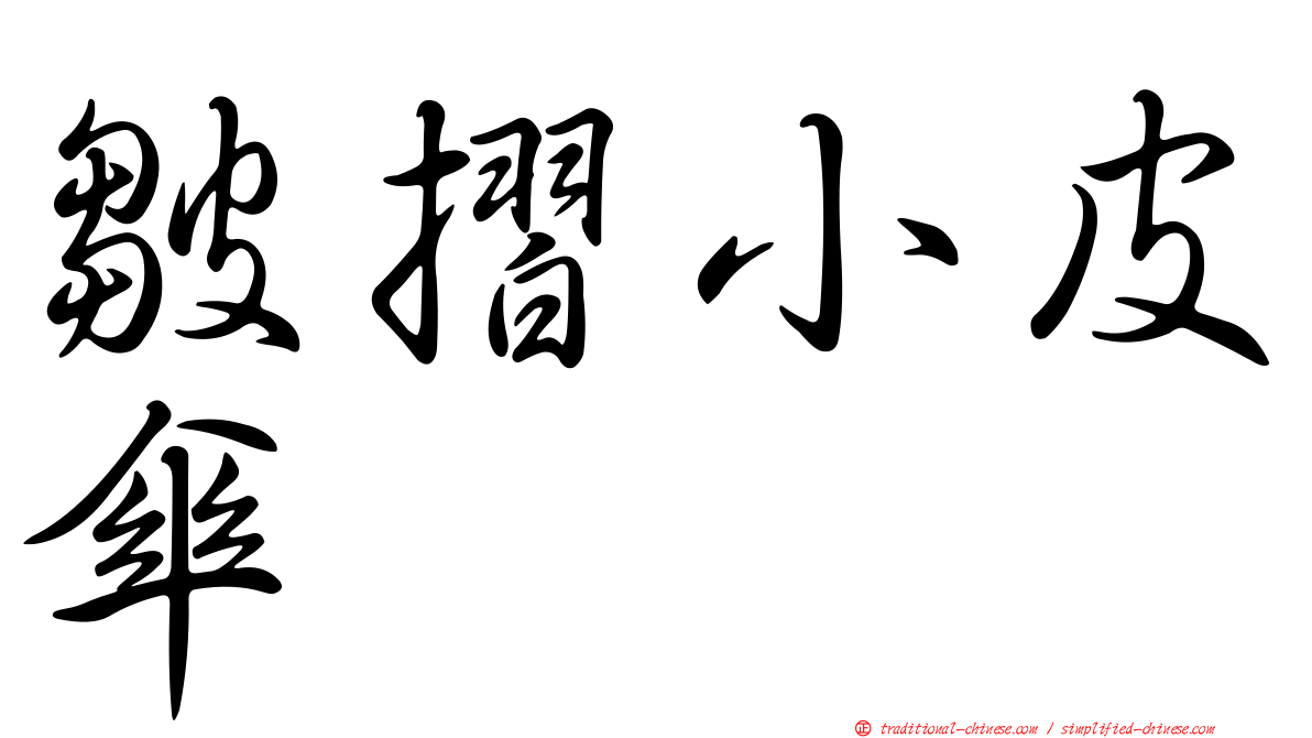 皺摺小皮傘