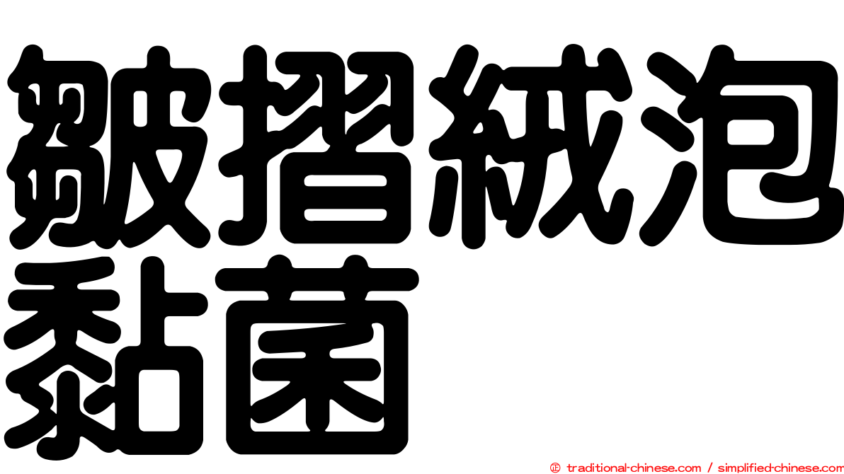 皺摺絨泡黏菌