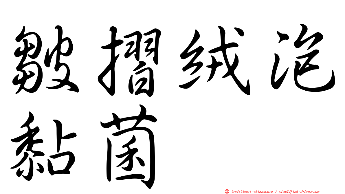 皺摺絨泡黏菌
