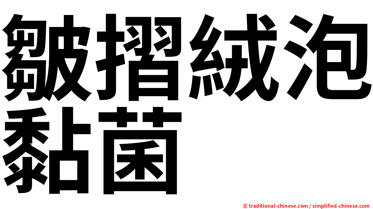 皺摺絨泡黏菌