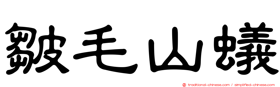 皺毛山蟻