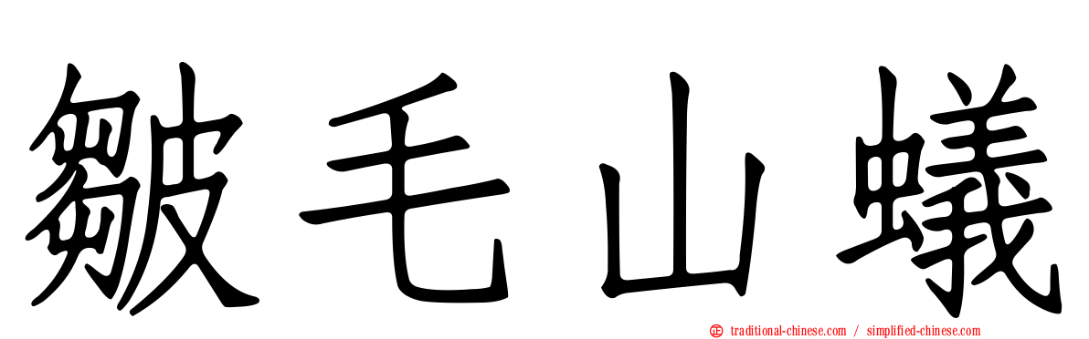 皺毛山蟻