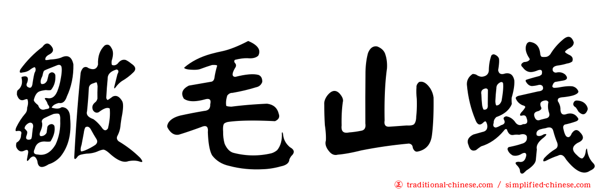 皺毛山蟻