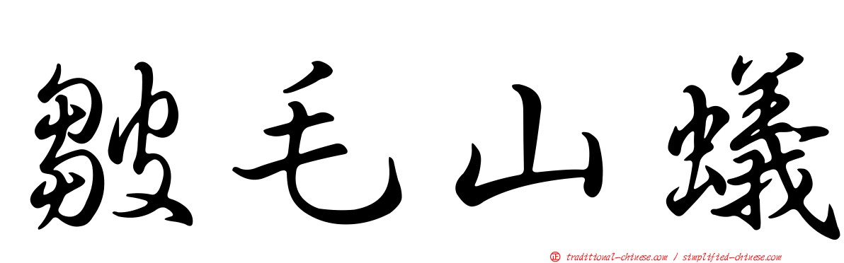 皺毛山蟻