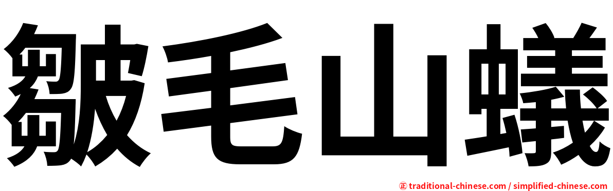 皺毛山蟻