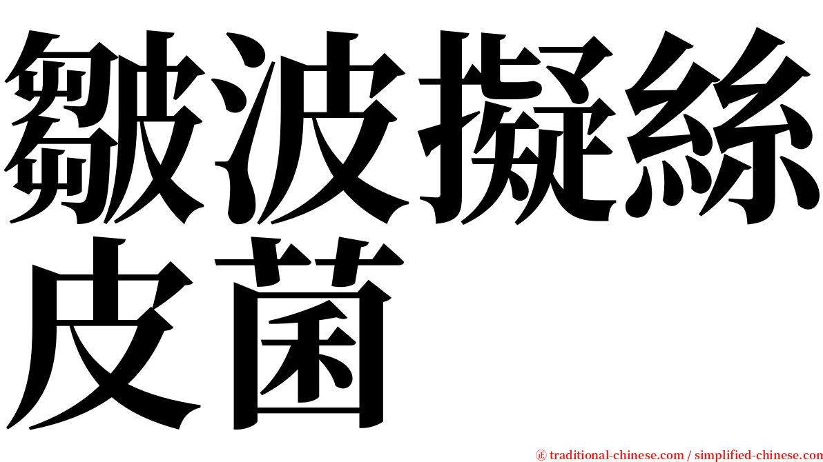皺波擬絲皮菌 serif font