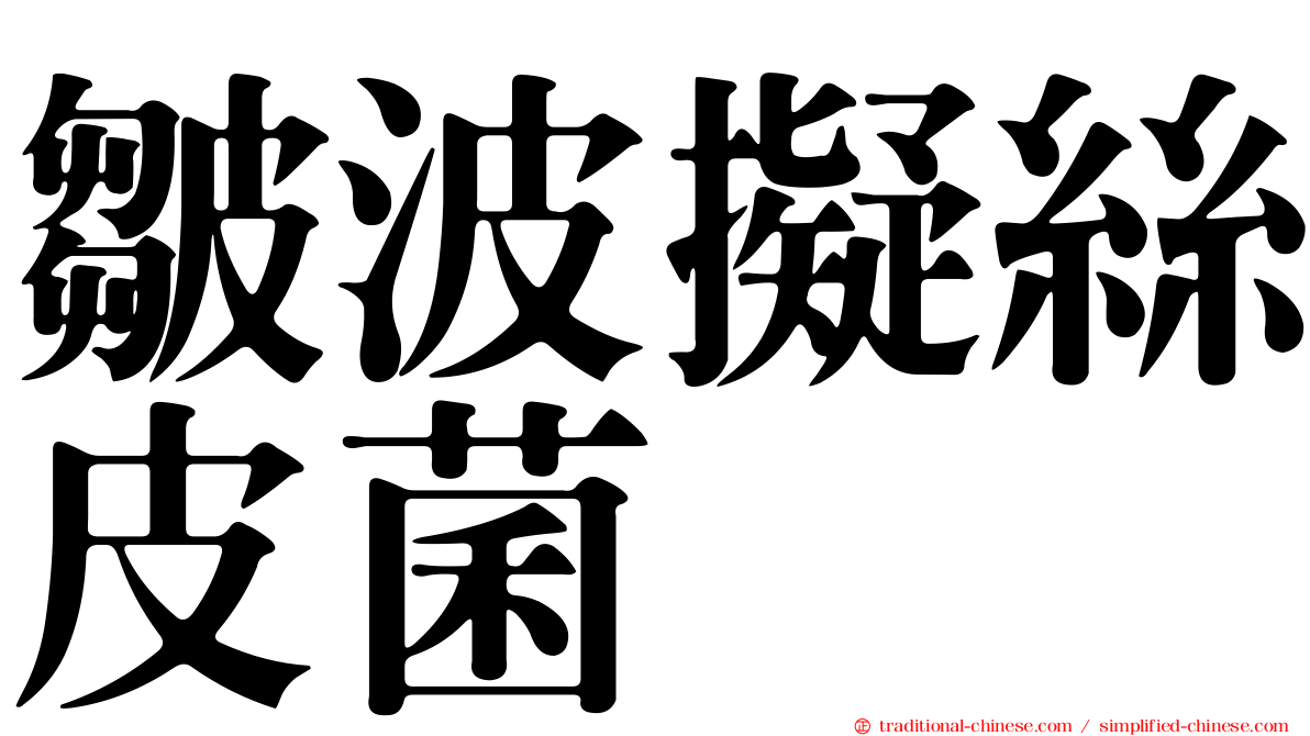 皺波擬絲皮菌