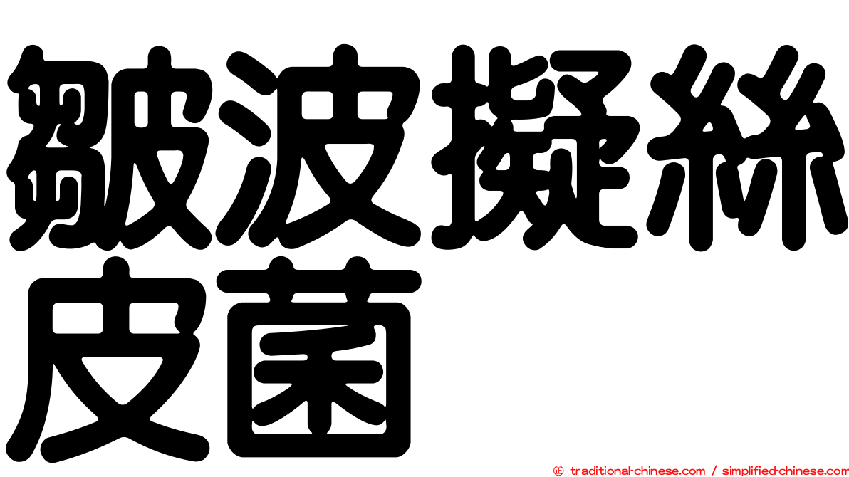 皺波擬絲皮菌
