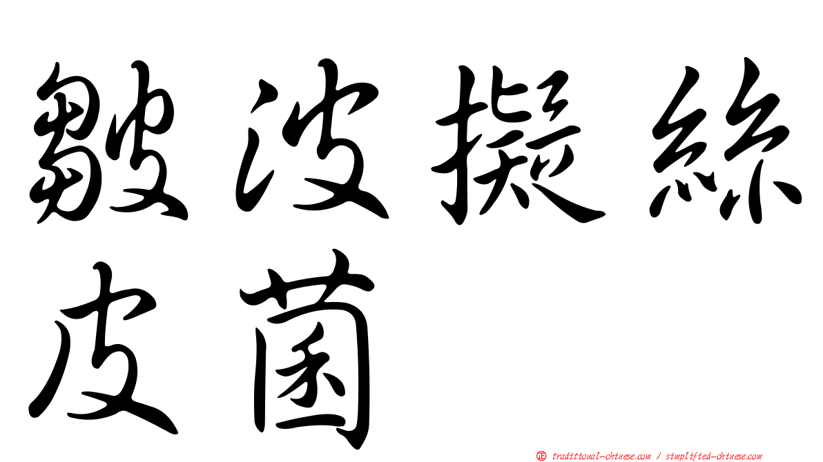 皺波擬絲皮菌