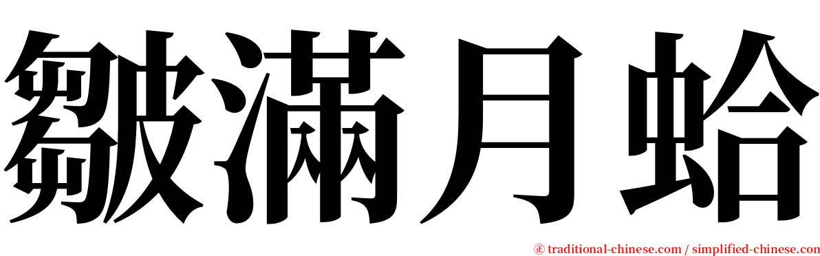皺滿月蛤 serif font