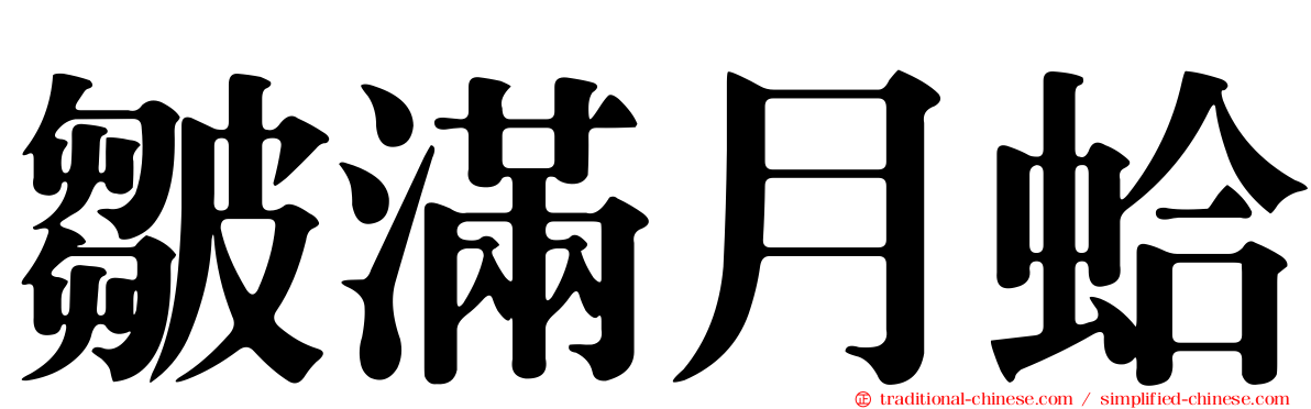 皺滿月蛤