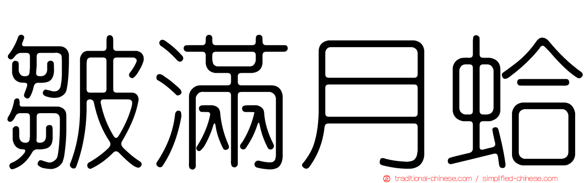 皺滿月蛤