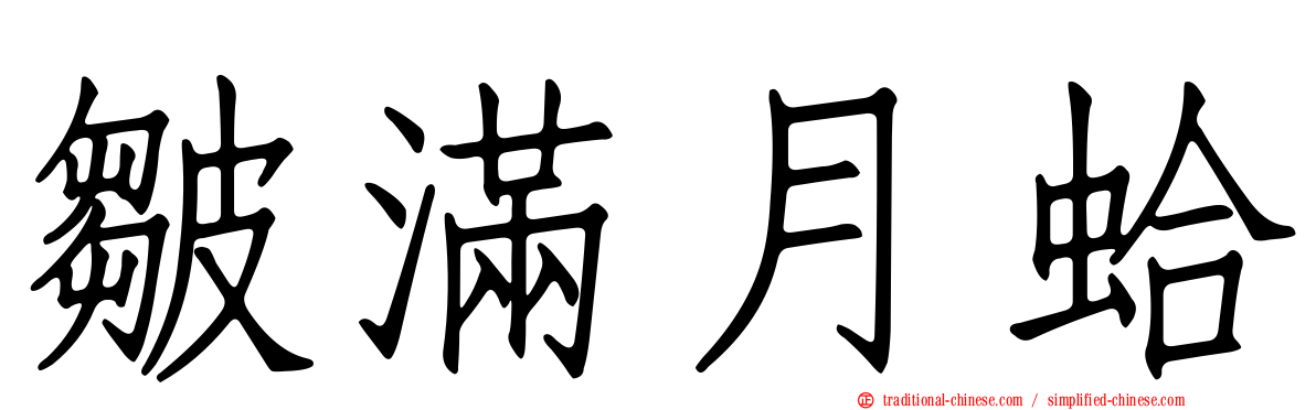 皺滿月蛤