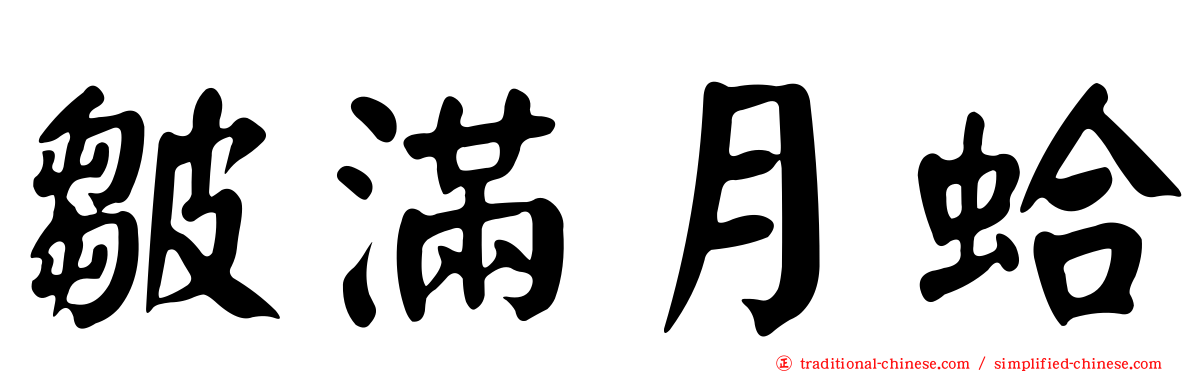 皺滿月蛤