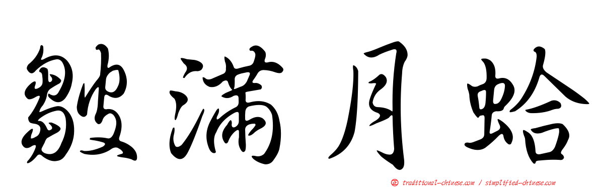 皺滿月蛤