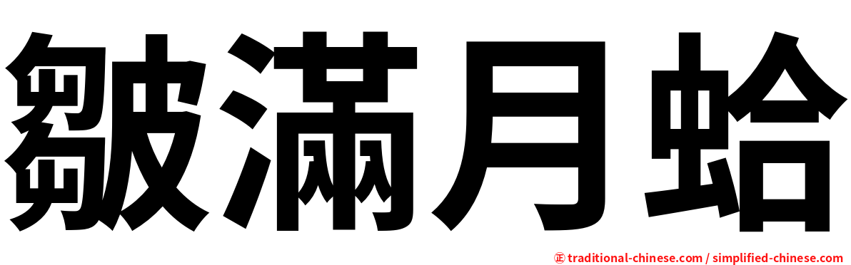 皺滿月蛤
