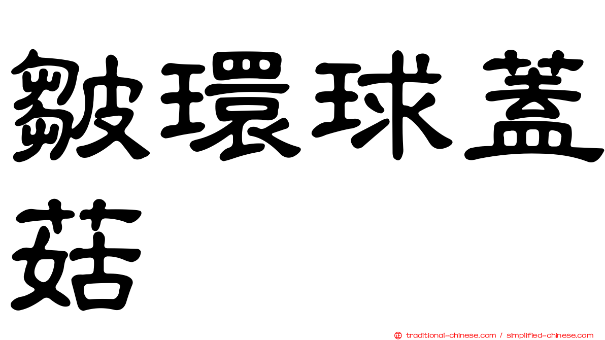 皺環球蓋菇
