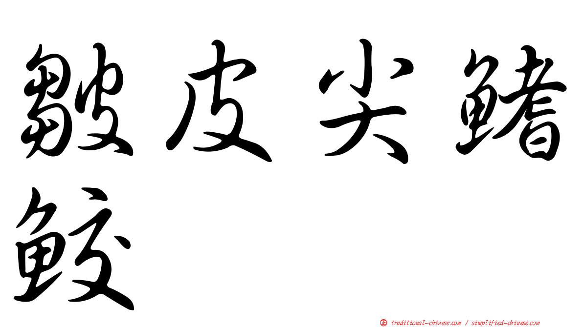 皺皮尖鰭鮫