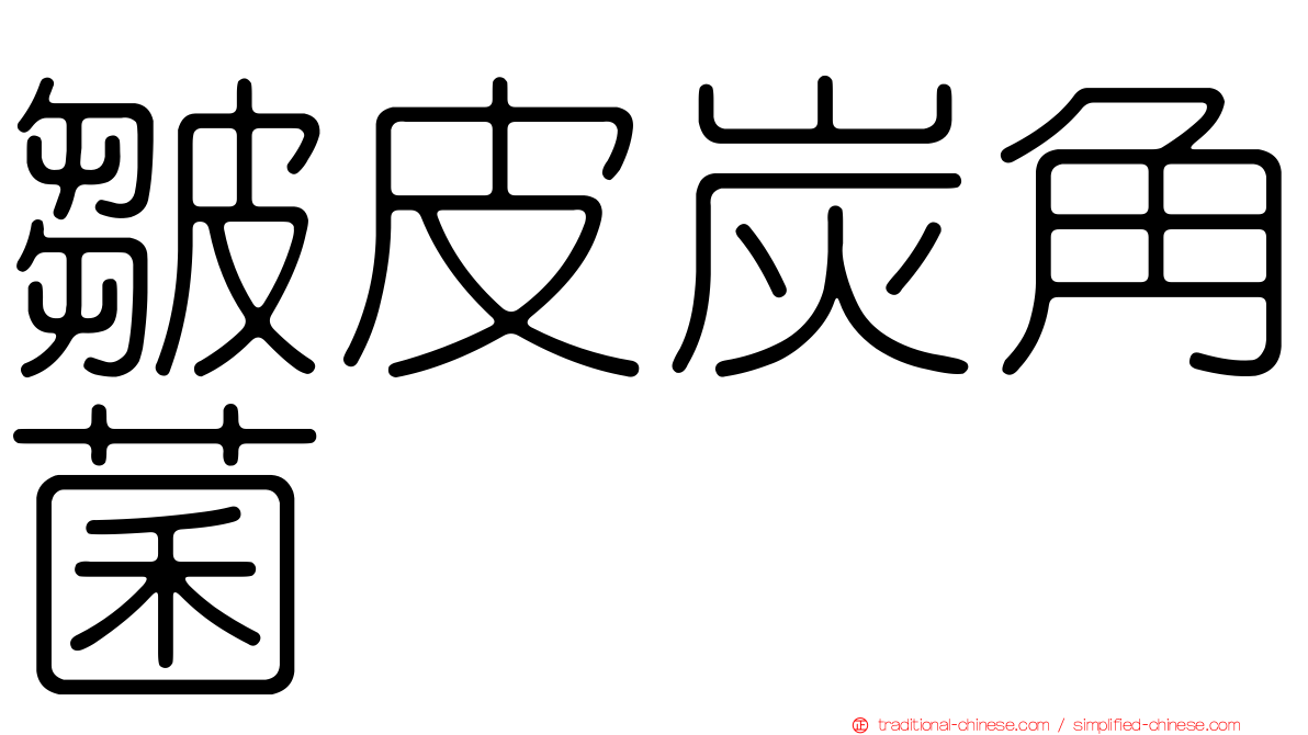 皺皮炭角菌