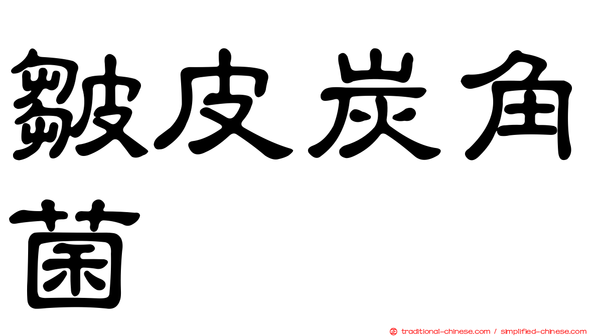 皺皮炭角菌
