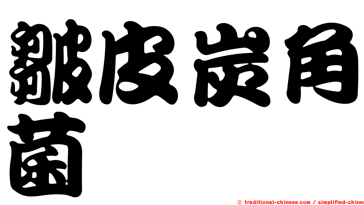 皺皮炭角菌