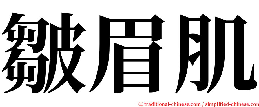 皺眉肌 serif font