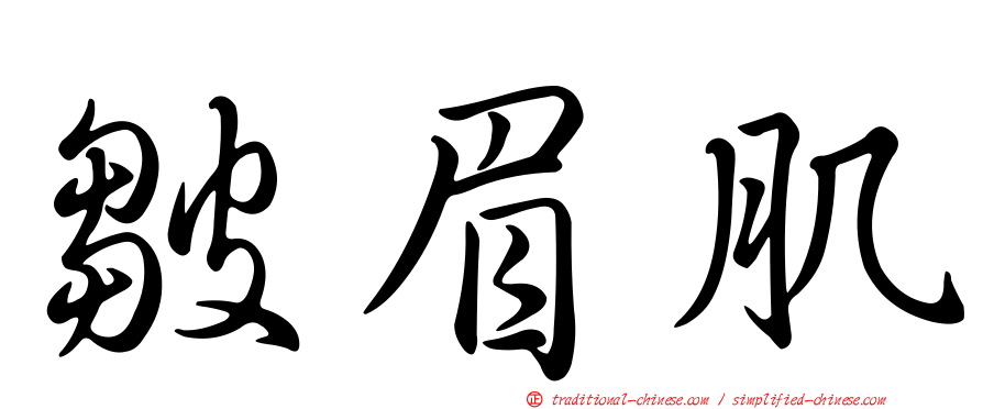 皺眉肌