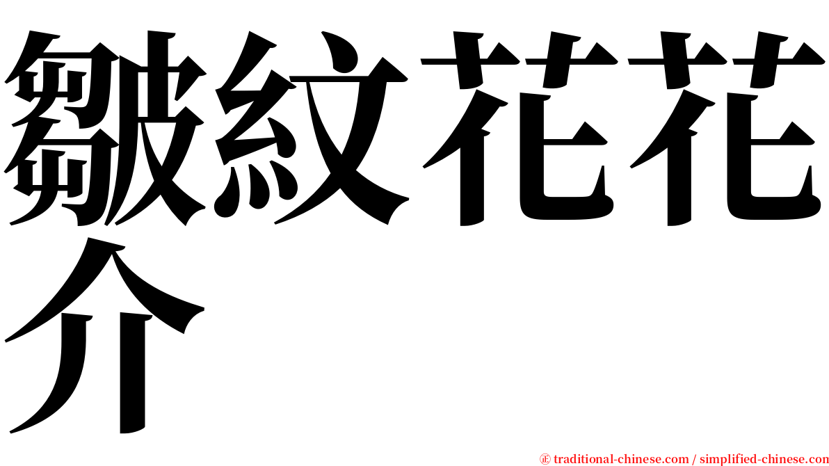 皺紋花花介 serif font