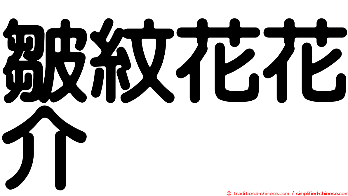 皺紋花花介