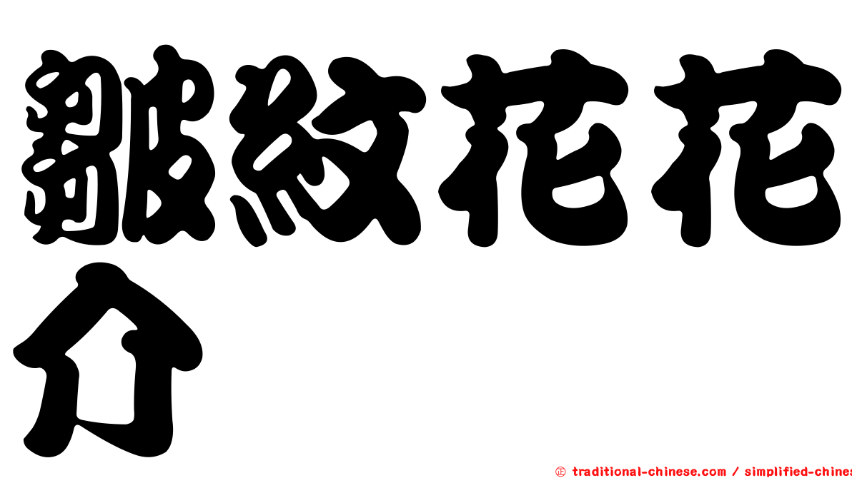 皺紋花花介