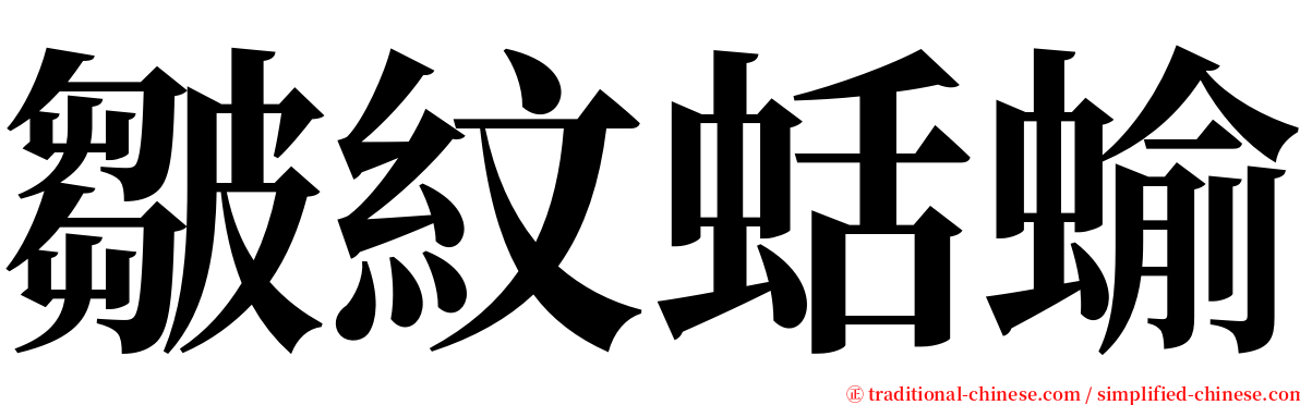 皺紋蛞蝓 serif font