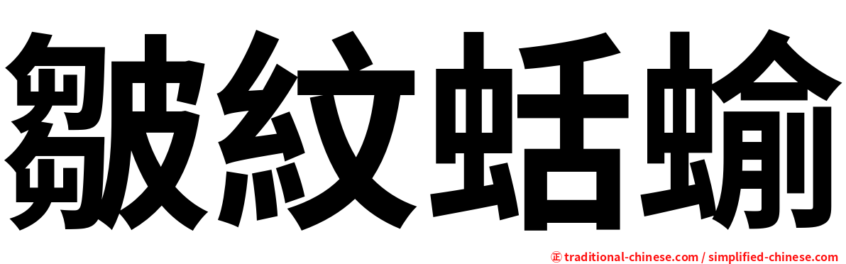 皺紋蛞蝓