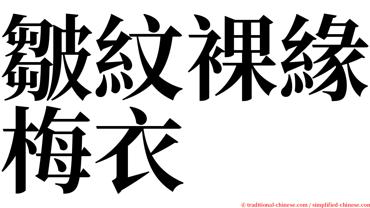 皺紋裸緣梅衣 serif font