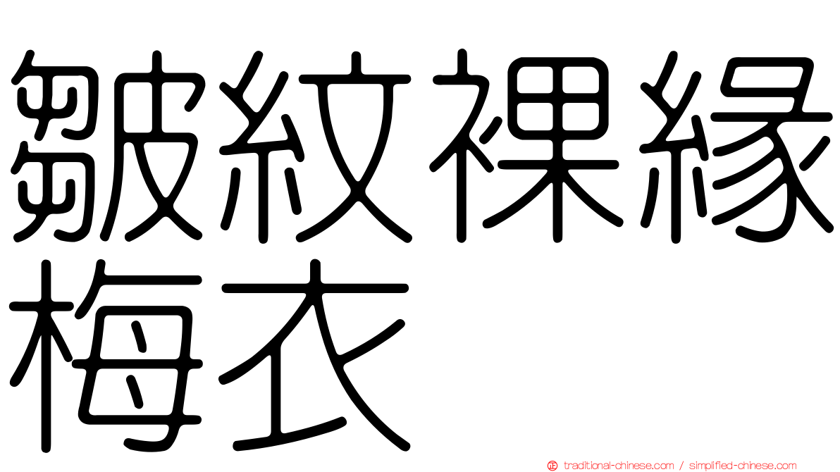 皺紋裸緣梅衣