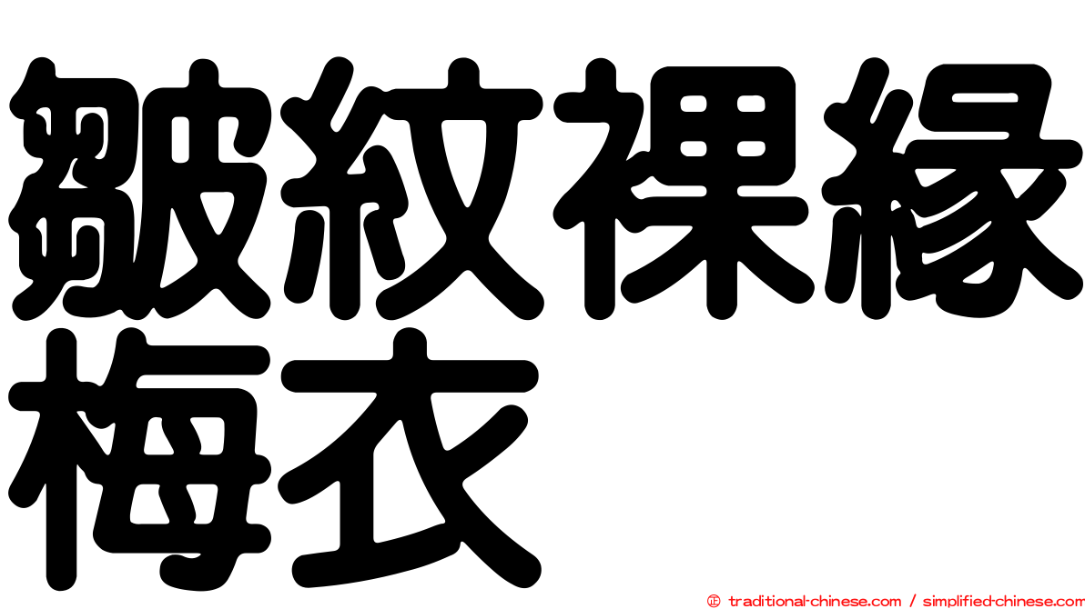 皺紋裸緣梅衣