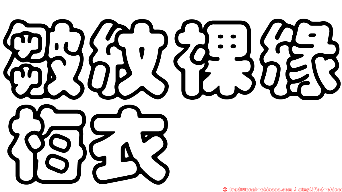 皺紋裸緣梅衣